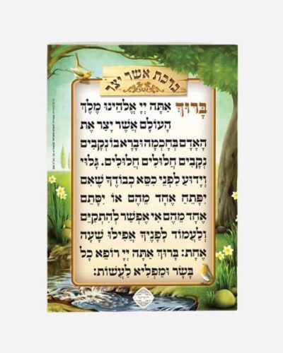 ברכת אשר יצר בגודל בינוני
