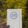 הגדה של פסח סימנים