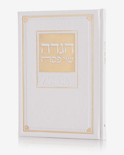 מארז מעבדות לחירות הגדה AI וקופסא למצות - זהב
