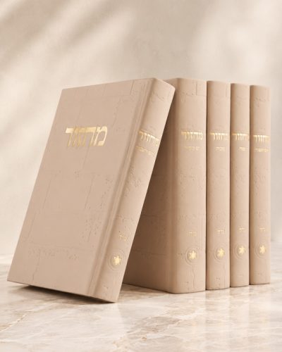 סט מחזורים מעוצב כותל בצבע אבן